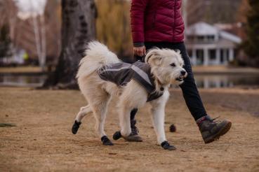 Ruffwear Lumenglow Hi Viz Jacket  Granite Gray Gr. XXS